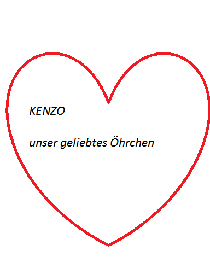 kenzo4.png